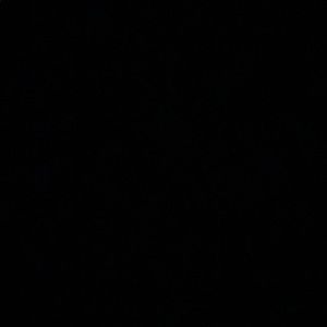 Meet your Posher, Dimitri